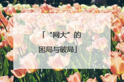 “网大”的困局与破局